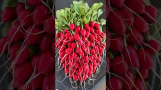 БОЛЬШОЙ УРОЖАЙ  #теплица #сад #огород #дача #урожай #семена #рассада