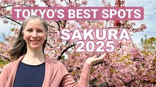 Best Tokyo Cherry Blossom Spots for Picnics & Walks, Japan Travel Guide