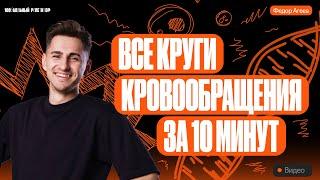 Все круги кровообращения за 10 минут | ОГЭ по биологии | 100балльный