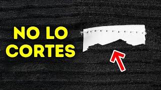 Más de 100 datos curiosos que no descubrirás en una búsqueda rápida