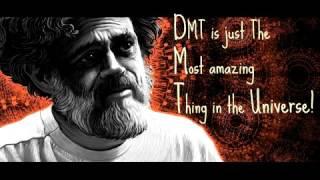 Terene McKenna - DMT is Everything!