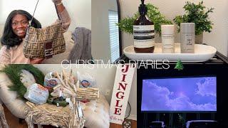 Maintaining Privacy, Handbag Return, Drive In Movie, Cleaning, Holiday Decor, Christmas Song + More