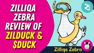 Zilliqa Zebra's Review of ZilDuck and $DUCK token