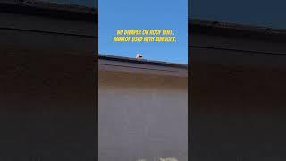 No damper on roof vent . Mirror used with sunlight. #dryervent #diy #newconstruction @brickbybryck