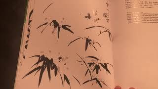 Fund. of Chinese Floral Painting V3: Bamboo by Chow: Video Book Review by Oriental Art Supply (OAS)