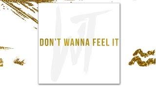 Wild Things - DON'T WANNA FEEL IT  [OFFICIAL LYRIC VIDEO]