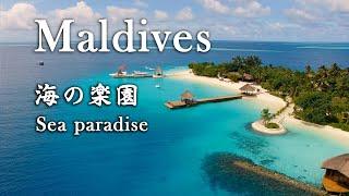 Maldives - 『モルディブ  海の楽園』 Sea paradise