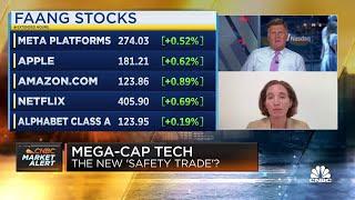 It's really hard to lose in mega-cap tech stocks right now, says Moneta's Aoifinn Devitt