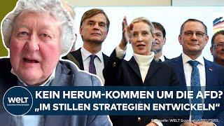 BUNDESTAG: Kommt die Union um die AfD nicht herum? "Strategien und Gesprächspartner finden"