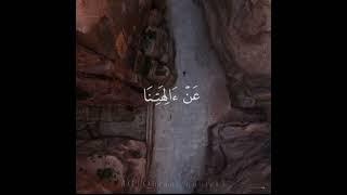 Surah-Ahqaf|verse|22|Beautiful Recitation by Sheikh Muhammad Siddiq Al Minshawi.