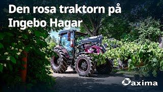 Den rosa traktorn på Ingebo Hagar