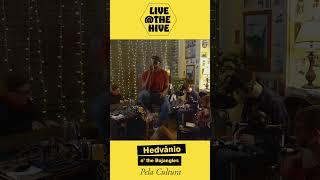 Pela cultura - Live at the Hive  - Hedvanio and the Bojangles