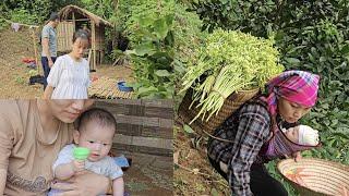 A single mother harvests papaya flowers, her house is broken into by her ex-husband and his lover