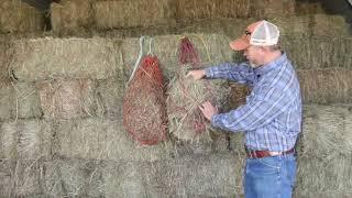 When to use hay nets