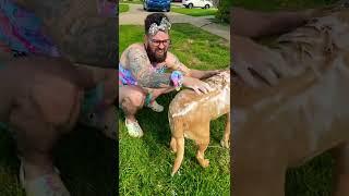 Kids Bathe Dog and It's HILARIOUS! [2024]