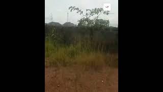 Inside a N23M ($52,000) 1320Sqm land in Independence Layout Phase 2, Enugu