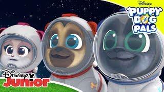 Space Adventure  | Puppy Dog Pals  | Disney Junior Arabia