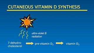 Vitamin D, Sunshine, Optimal Health: Putting it all Together