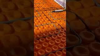 DITRA-HEAT for Tile Floors