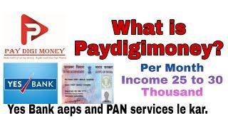 Paydigimoney| what is pay digi money service | Paydigi money