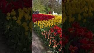 Progetto 08-15(1)_Full HD 1080p.mp4