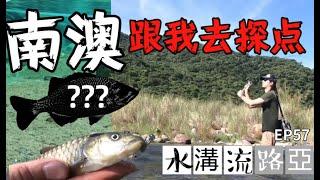 【水溝流路亞-57】- 原來魚都在這個地方-路亞夢幻魚出現了