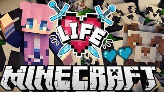 ･ﾟ: Panda Chaos :･ﾟ | Ep. 6 | Minecraft X Life SMP