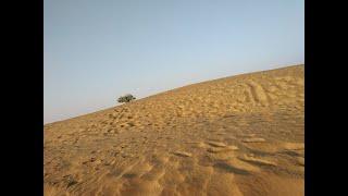 RAJASTHAN, Thar desert, Sand dunes, Jaisalmer