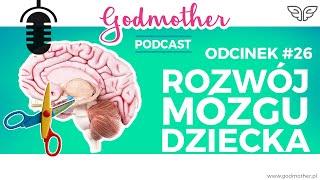 #26 Rozwój mózgu małego dziecka: przycinanie synaptyczne i stracone okazje | Godmother Podcast 