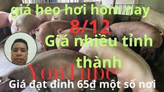 Giá heo hơi hôm nay 8 /12/2024 giá đạt đỉnh  65₫ một số nơi khu vực phía Bác achi xem tham khảo