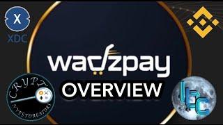 $WTK - Investigating WADZPAY TOKEN