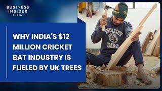 Why India's $12 Million Cricket Bat Industry Is Fueled By UK Trees