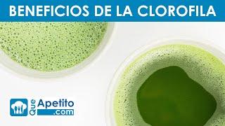 8 Propiedades y Beneficios de la CLOROFILA  | QueApetito