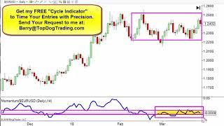 Momentum Trading Indicators with Barry Burns of TopDogTrading