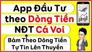 Cách Kiếm tiền Đầu Tư theo DÒNG TIỀN CÁ VOI - Phương pháp Giao dịch hiệu quả cho người mới