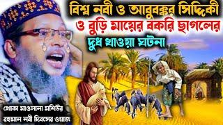 khoka Maulana wazযে বুড়িমার ছাগলের দুধ খেয়ে বিশ্বনবীর জীবন বাঁচানো ঘটনা||খোকা মাওলানা মশিউর রহমান