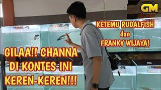 AKHIRNYA! KONTES CHANNA DI CILEUNGSI DIMULAI! #channa  #snakehead @randyrudal @frankywijaya28