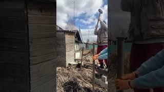 Кто сказал что женщина слабый пол  #весна #дача #курятник #курятниксвоимируками