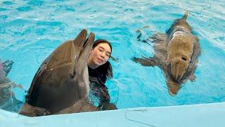 T2A: Pattaya Dolphinarium (Swim with dolphin)