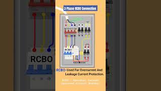 3 Phase RCBO Connection in 3 Phase Phase Distribution box l #shorts #reels #shortsfeed