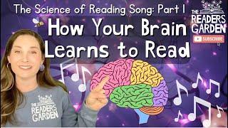  Phonics Song: How Your Brain Learns to Read | The Science of Reading Song: Part 1