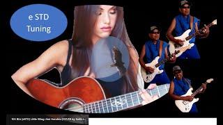 Little Wing - Jimi Hendrix (cover) by Keith Langley, Featuring Jess Greenberg (eSTD, Clean GTR Solo