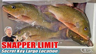 Snapper Limit in SECRET LOCATION