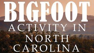 HAIR-RAISING BIGFOOT EXPERIENCES IN NORTH CAROLINA | WE KNEW IT WAS BIGFOOT