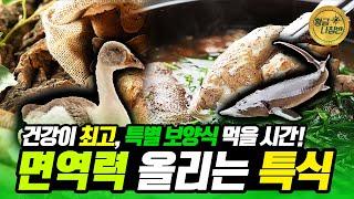 면역력 되찾아주는  특별 보양식 대.공.개!  [#황금나침반] / YTN 사이언스