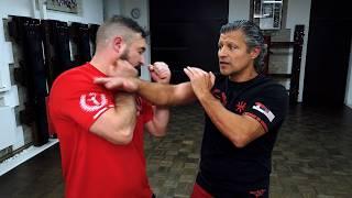 Wing Chun Biu Djee Application vs K1 Fighter  #wingchun #chisao