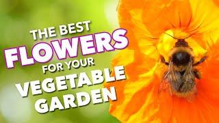 The Best Flowers To Boost Vegetable Gardens 