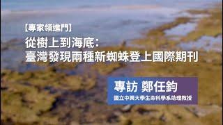 【專家領進門】從樹上到海底：臺灣發現兩種新蜘蛛登上國際期刊