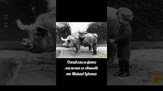 Оживляем фото мальчик со свиньёй от Mishael Lakmus