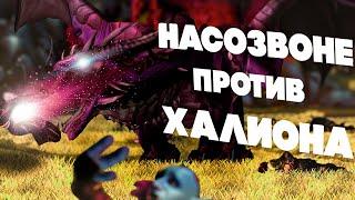 Сказ о том, как  "На Созвоне" Халиона осваивали.